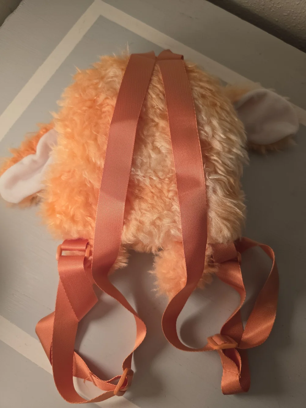Tutulong And Fuecoco Bundle